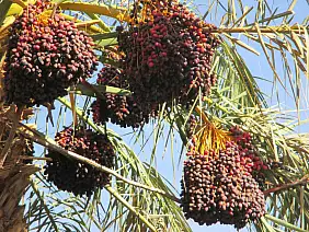 marrakech-quartiere-kk1da