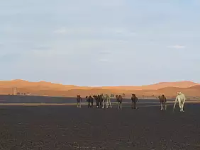 marrakech-quartiere-vw2nk