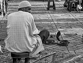 marrakesh-streetfood-4fth7