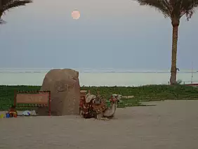 marsa-alam-mare-syz8n