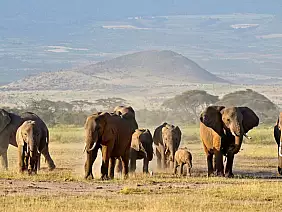 masai-mara-natura-2k942