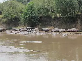 masai-mara-natura-3xkx4