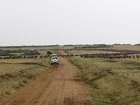 masai-mara-natura-4wv2d