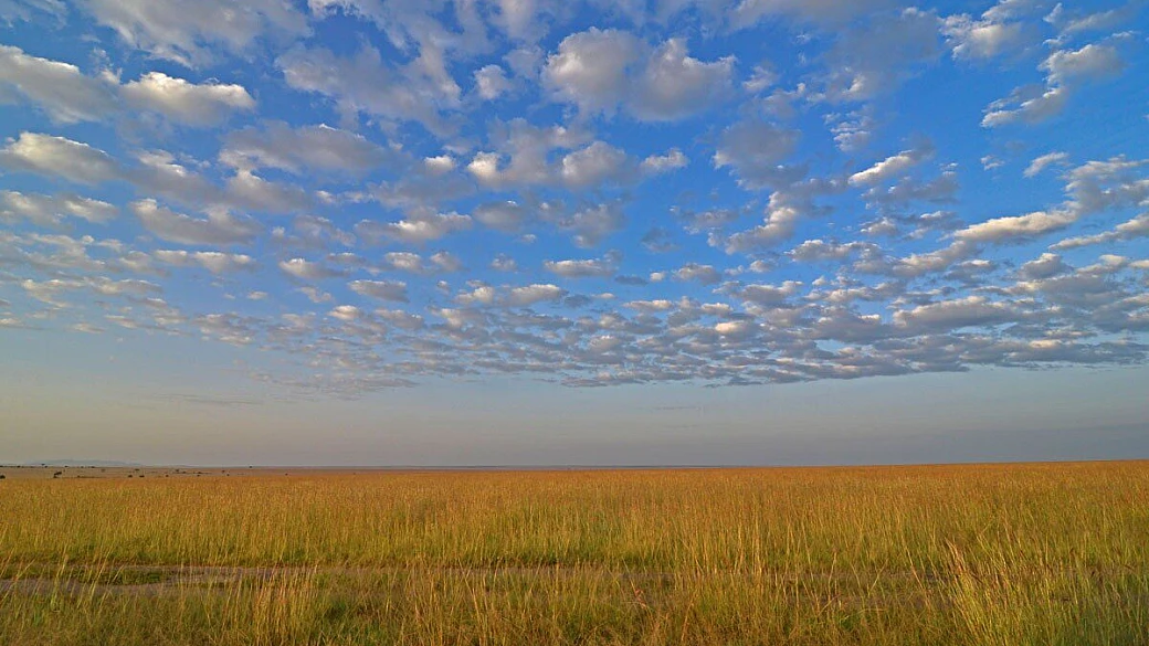 con ethiopian airlines vinci un viaggio