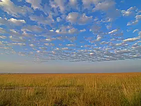 masai-mara-natura-6hmjq