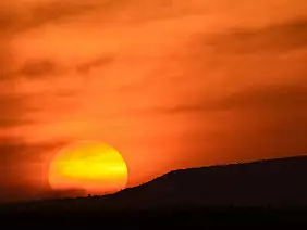 masai-mara-natura-dsmty