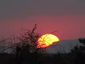 masai-mara-natura-z7dyn