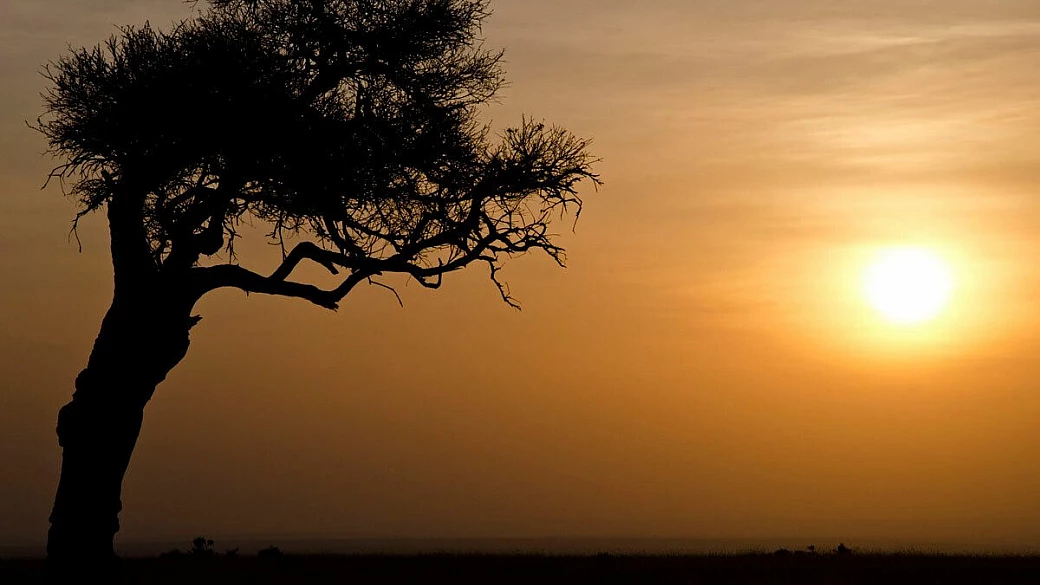 kenya, l'origine dei safari