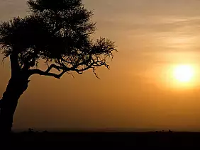 masai-mara-natura-zxpqp