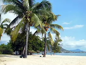 mauritius-x7yx6