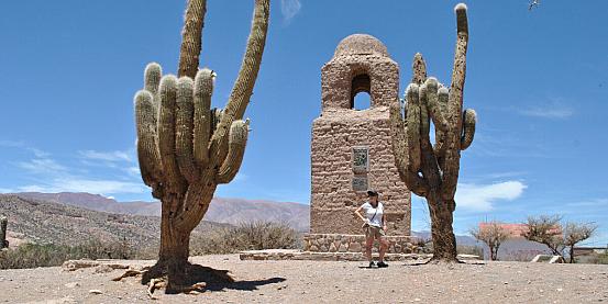 cactus giganti