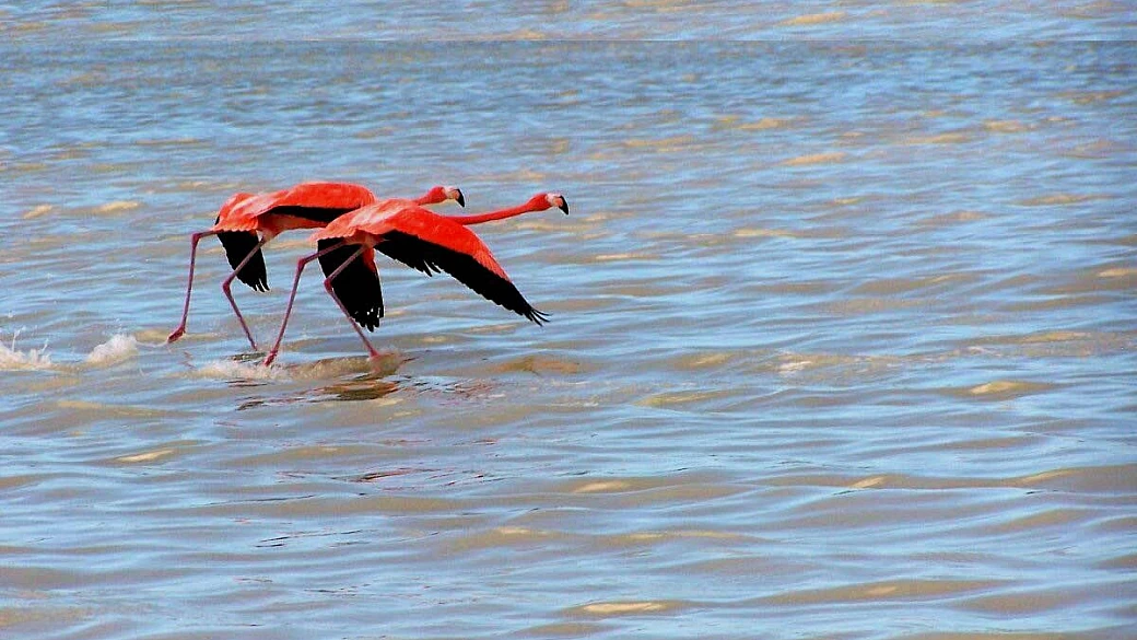 yucatan-chiapas e ritorno