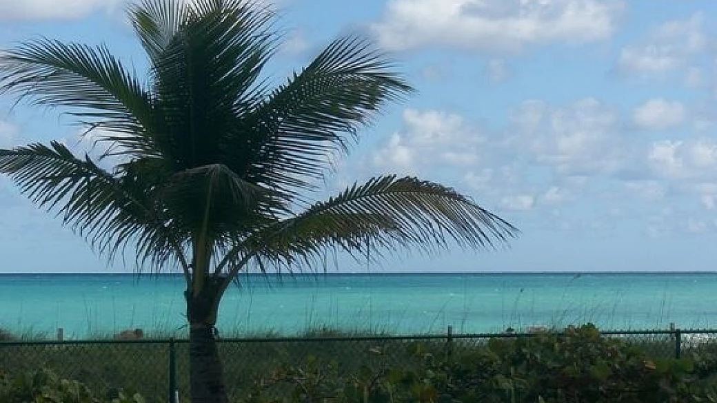 battezza l'anno nuovo con un tuffo nell'oceano!