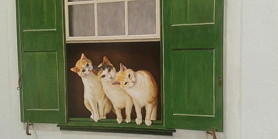 gatti alla finestra