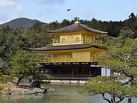 miyajima-4enfd