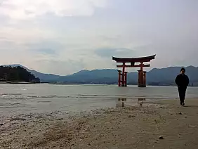 miyajima-gz2zy