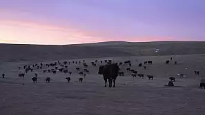 mongolia: quando l'acqua diventa ghiaccio