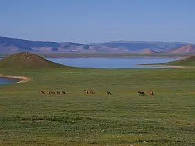 mongolia-bujes