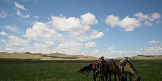 Mongolia: 42 giorni da solo