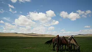 mongolia: 42 giorni da solo