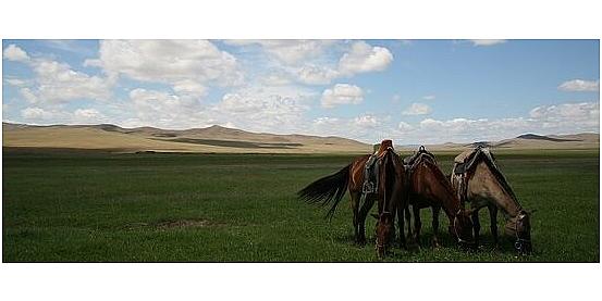 mongolia, la sinfonia del silenzio nelle sconfinate praterie