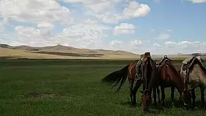 mongolia, la sinfonia del silenzio nelle sconfinate praterie