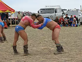 mongolia-natura-5k6qr