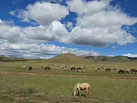 mongolia-natura-9frs4