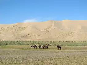 mongolia-natura-qdmxs