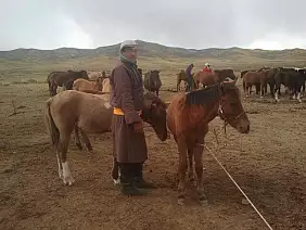 mongolia-sj8w7