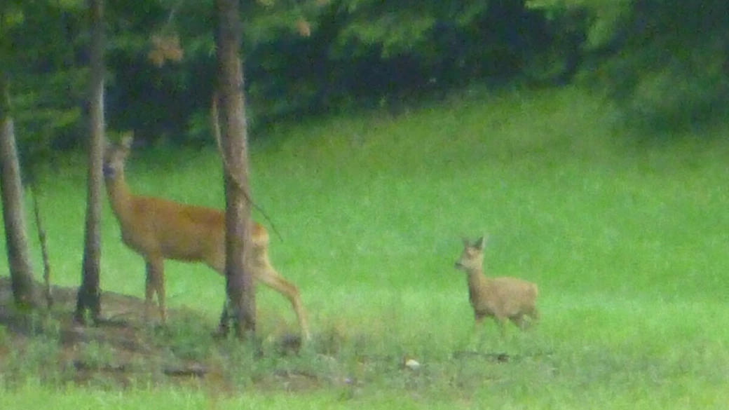 benessere sull'altopiano del renon