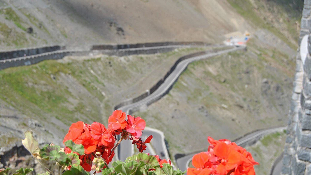 vacanza estiva nella val venosta in alto adige