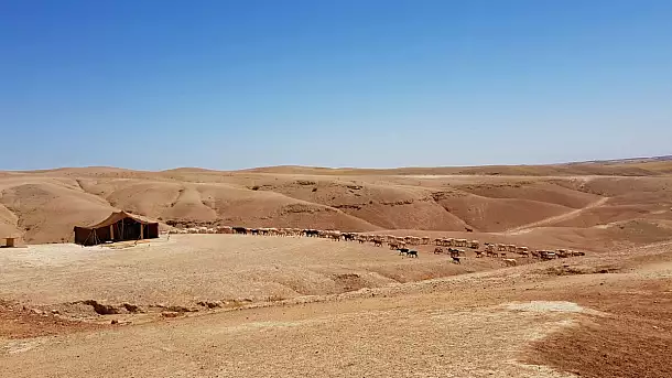 alla scoperta del deserto di agafay