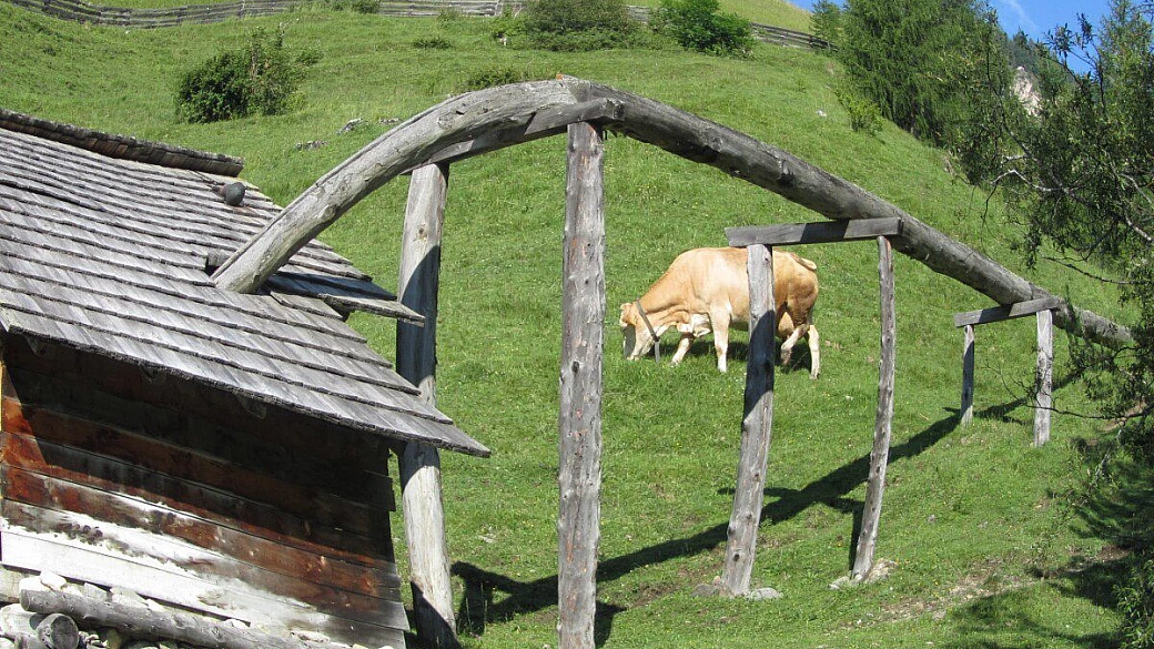 longiarù, a due passi dal cielo