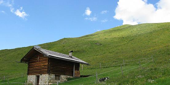 Trentino Alto Adige: Bolzano, Bressanone e il sole della Val di Fassa