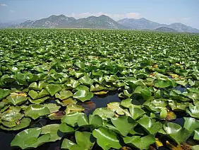 montenegro-country-bv5x1