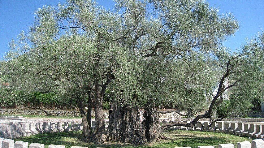 montenegro, non solo mare