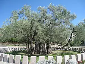 montenegro-country-dcgsp