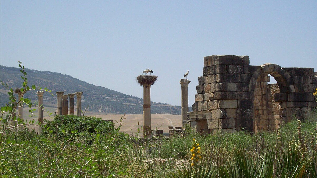 fes le mille e una notte