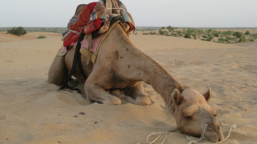 india: relax e ayurveda nelle spiagge del kerala