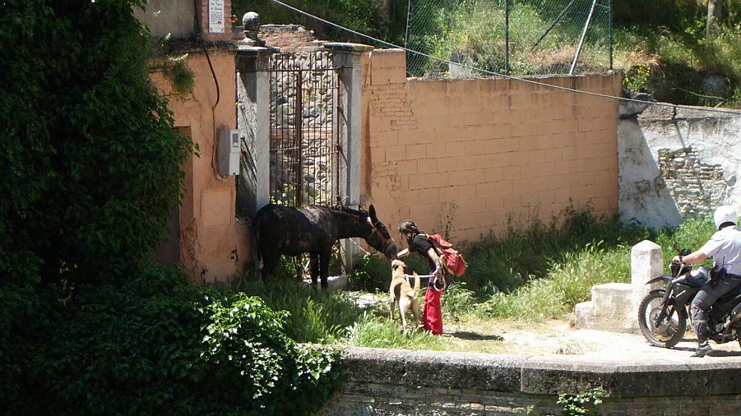 madrid... vengo anch'io!