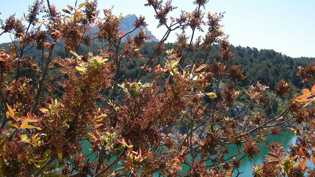 kalliste, l’ile de beaute’: una montagna in mezzo