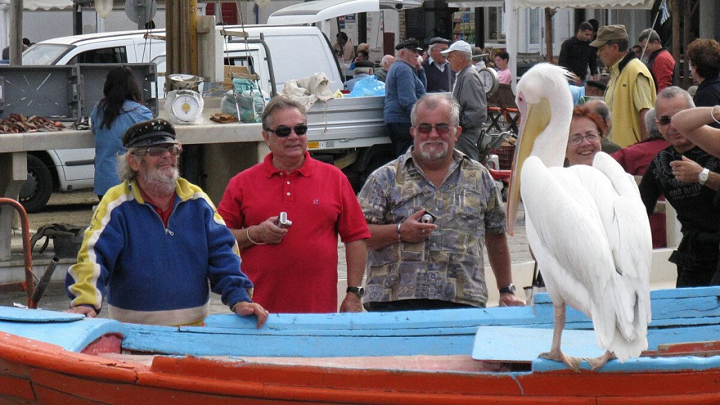 scelte due isole a caso: creta e santorini