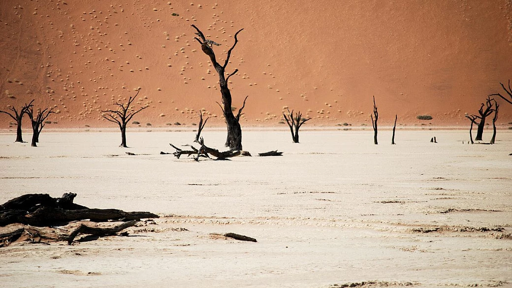 non abbiamo forato in namibia