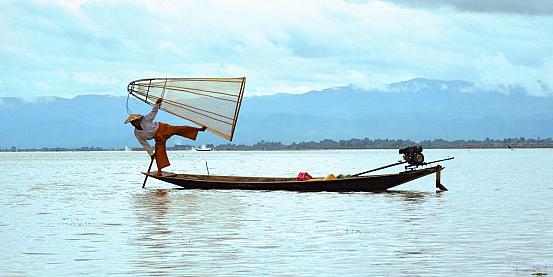 pesca birmana