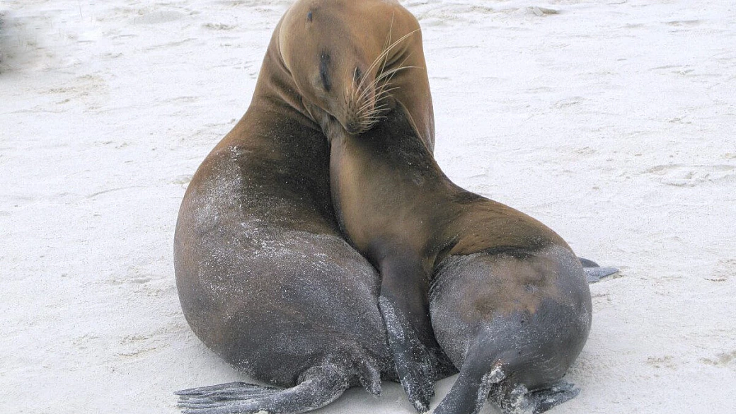 quattro passi lungo la east coast