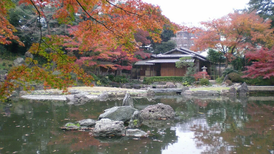 tecnologia e tradizione, fascino del giappone