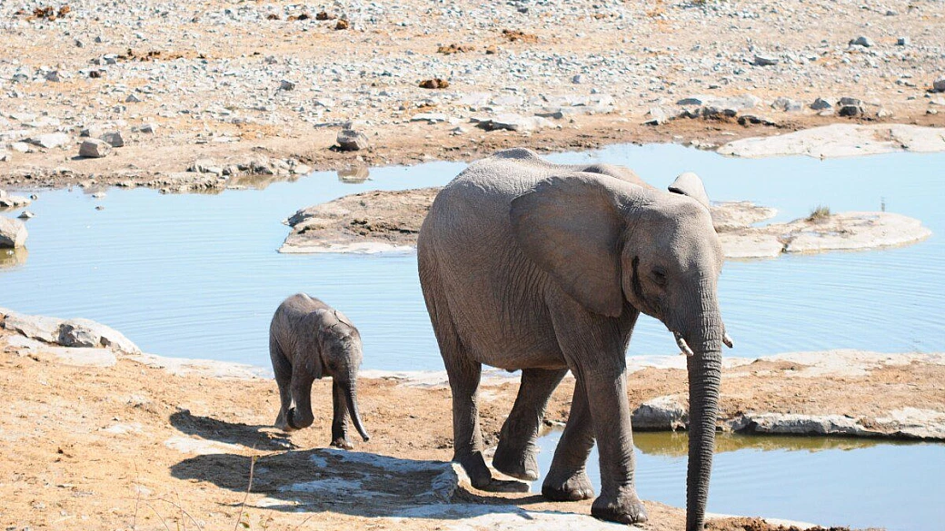 namibia, africa vera
