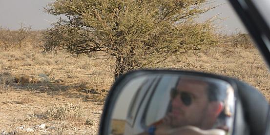african dreams on the road: namibia 3