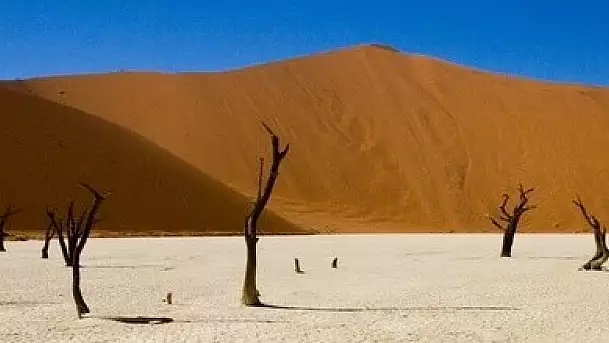 namibia: dune, deserti e parchi